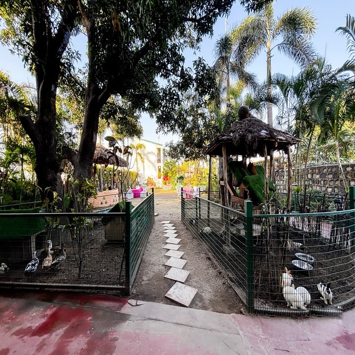 Garden path through the resort grounds